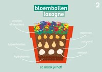 Voorjaarsbollen: laten verwilderen of in de lasagne